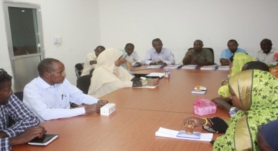 dikhil-des-micros-projets_13